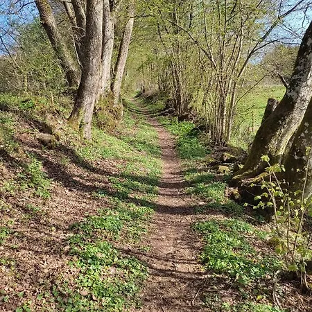 Weinand דירה בירסבורן