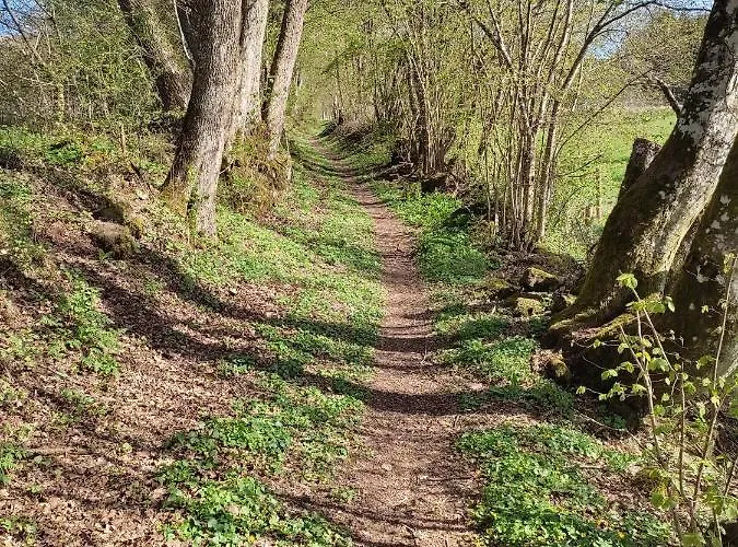 Weinand Apartament Birresborn